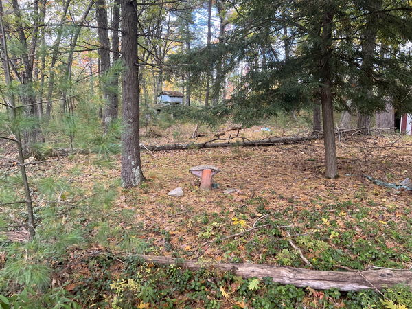 Mystery Ridge - October 15 2022 Photo  (newer photo)